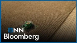 'We think Middle East is going to be the worst affected': Papic on agricultural commodity prices
