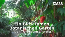 A Look Inside the Botanical Garden of TU Braunschweig