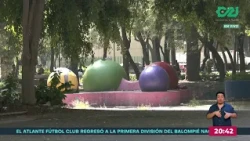 Why is it important to guarantee access to decent public green spaces? | Capital Report