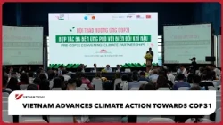 Vietnam advances climate action towards COP31 | Vietnam Today