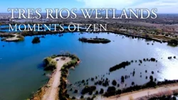 Moments of Zen | Tres Rios Wetlands