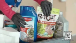 Collier County Solid & Hazardous Waste - Hurricane Prep