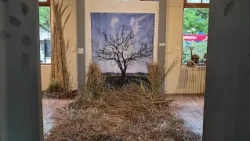 Exhibition on Arroyo El Pescado in La Plata: tour and testimony from its organizers