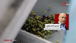 Head of the Olive Press Association to "Al-Haqiqa Al-Dawliya": A tin of olive oil will not exceed...