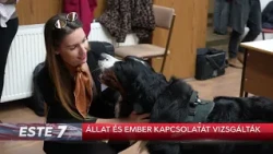 Állat és ember kapcsolatát vizsgálták