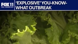 California lettuce supplier linked to past outbreaks, under federal investigation: Report