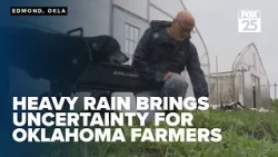 Heavy rain brings relief, uncertainty for Oklahoma farmers