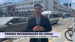 Up to 5 years in prison: Criminal complaint filed over poisoned dogs in Caleta Lenga
