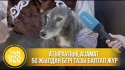 Атыраулық азамат 50 жылдан бері тазы баптап жүр