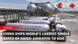China Ships World's Largest Single Batch of Green Ammonia to ROK