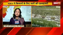 Raipur News: IGKV ने किसानों के लिए जारी की Advisory | धान, दलहन, तिलहन की कटाई रोकने की दी सलाह