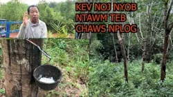 Hmong tv network tham COG NTOO YAS