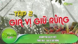 Discover Vietnamese Spices: Cardamom - A Spice Preserved in the Forest