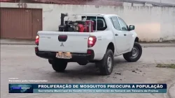 FOGGING IN TEIXEIRA DE FREITAS (Aired 07/26/16)