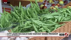 Albuquerque launches backyard harvest share program