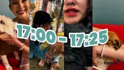 ✨🐾 Llega un nuevo espacio para ellos Huellas que llegan, que esperan, que cuidan… que transforman.