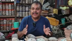 Oficios con Beneficio 2025 - Artesano de Conchas Marinas en La Paz, B.C.S.