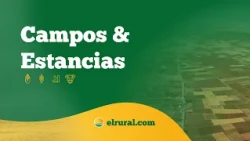 Farms and Ranches | OCT 22