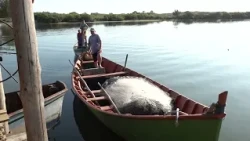 Audiência Pública debate futuro da Barra do Camacho