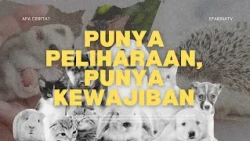 Petting Animals, Don't Forget Your Responsibility - WHAT'S THE STORY?
