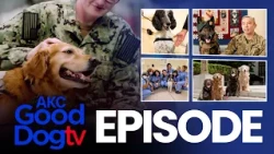 The Therapy Dog That Helps Wounded Warriors Heal | AKC Good Dog TV