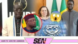 Le FMI exigeait-il la tête de Sonko ? Les révélations chocs de Cheikh Thiam sur les clauses !