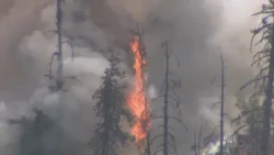 WIldfires move in on Pemberton triggering evacuations
