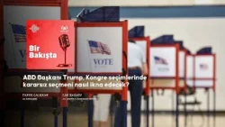 How will US President Trump persuade undecided voters in the Congressional elections?