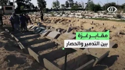 #إنفوغرافيك | الاحـ ـتلال يستهدف الأموات في #غزة