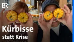 Kürbisse als Chance: So sichert ein Hof seine Landwirtschaft | Zwischen Spessart und Karwendel | BR