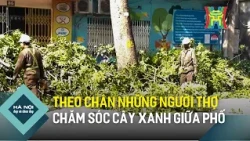 Theo chân những người thợ chăm sóc cây xanh giữa phố | Hà Nội đẹp và chưa đẹp