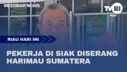 WORKER IN SIAK ATTACKED BY SUMATRAN TIGER
