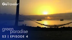 Green Paradise | S3E4 | The Bahamas - The Heart of the Ocean