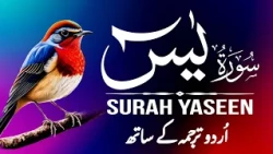 Surah Yaseen | Surah Yaseen With Urdu Translation | Episode - 01