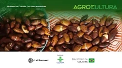 Agrocultura | How Coffee, Peanuts, and Technology are Revolutionizing the Field | 07/19/2026