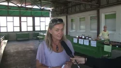 Anketa staroturanského trhoviska GDM