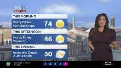 Mostly sunny, less humid today; wet weather returns Sunday for south-central PA