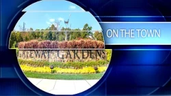 On the Town - Week of August 17, 2026