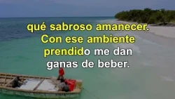 Karaoke - Las cuatro fiestas