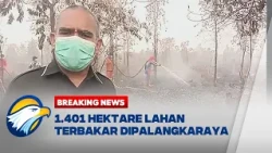 BREAKING NEWS - Kabut Asap Pekat Selimuti Palangkaraya 1.401 Hektare Hutan Terbakar
