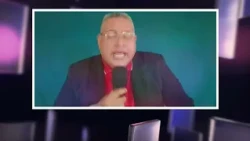 CLIPS DE PROGRAMSCIÓN