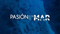 60 Years of the Balearic Sailing Federation: Stories from Those Who Lived It | Passion for the Sea