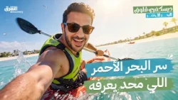 سر البحر الأحمر اللي محد يعرفه!