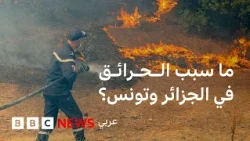 حرائق الجزائر وتونس... فعل فاعل أم تغير مناخي؟