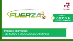 Probationary Period: Labor Rights and Obligations | Fuerza TV | 07/25/2026