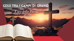 JESUS IN THE WHEAT FIELDS - LIGHT OF THE WORD - ASSISI 07/17/2026