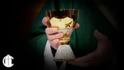 La Santa Misa | Vigésimo Primer Domingo Ordinario