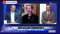 ARE THEY CORRECT? German Licona weighs in on the CNDS’s decisions against criminal groups