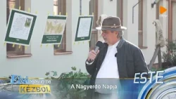 A Nagyerdő Napja