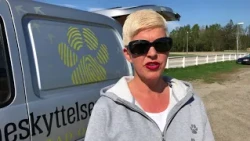 AMCAR Sarpsborg veldedighetscruise for dyrebeskyttelsen Fredrikstad og omegn